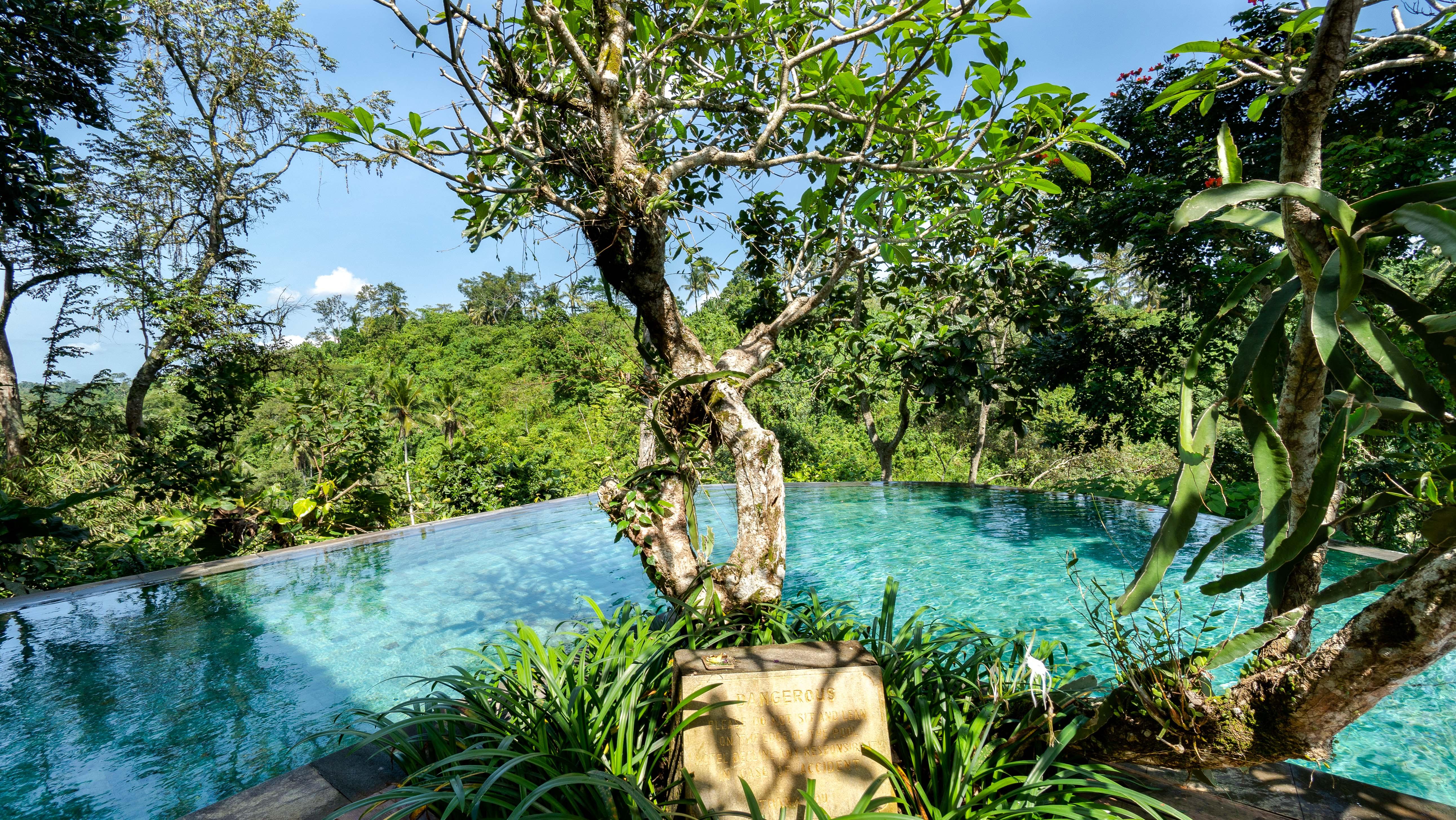 Natura Villa Ubud Eksteriør bilde