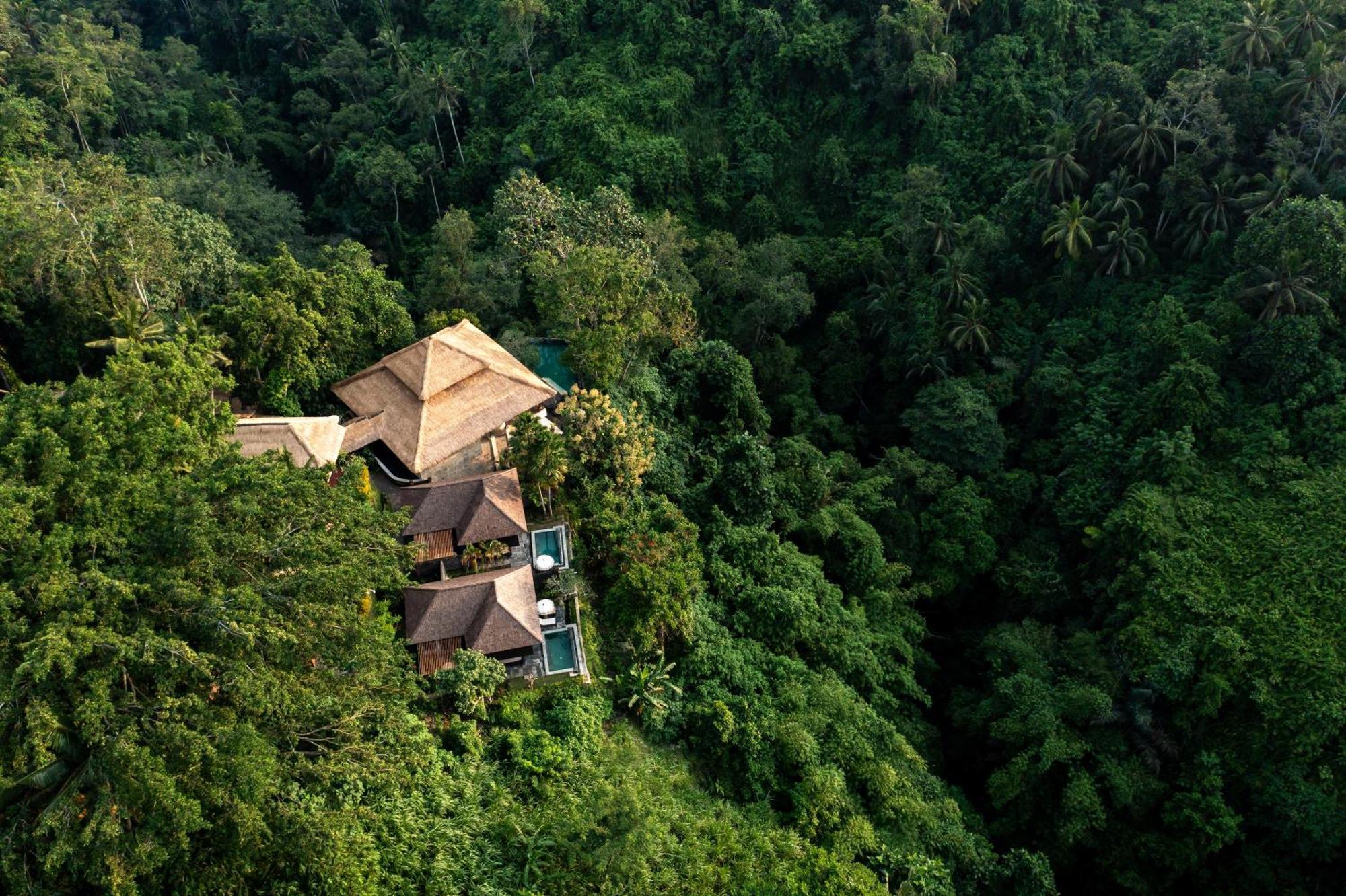 Natura Villa Ubud Eksteriør bilde