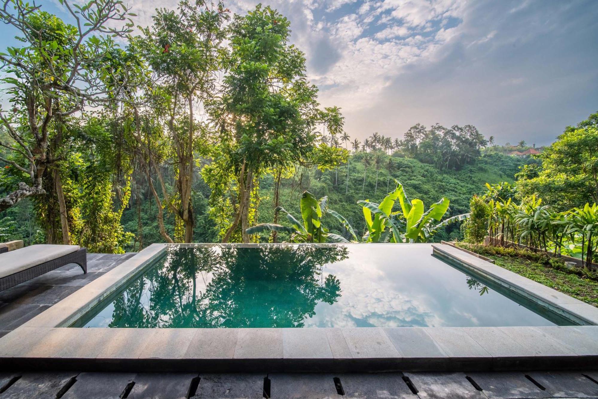 Natura Villa Ubud Rom bilde