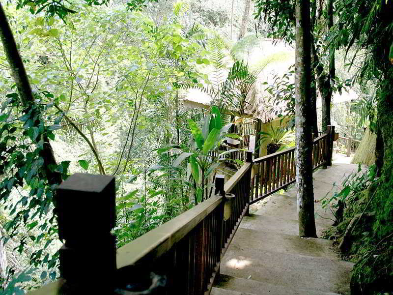 Natura Villa Ubud Eksteriør bilde
